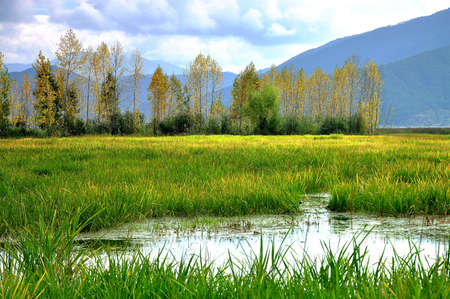Caohai lake sceneryの写真素材