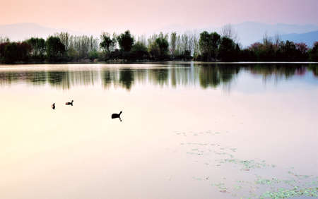 wetland sceneryの写真素材