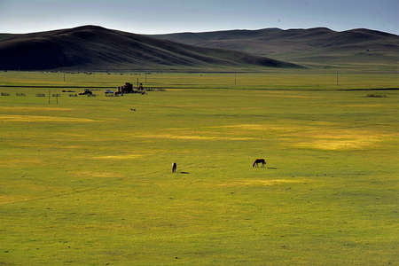 hulun buir grassland