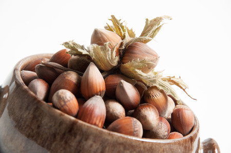 Hazelnut on isolated whiteの写真素材
