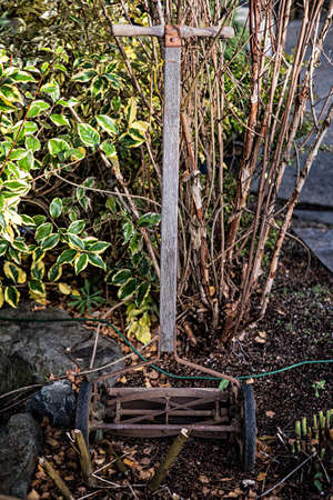 Old Fashion Push Lawn Mower Rusted and Leaning on Leafleass Shrub
