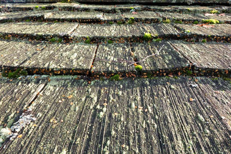 Old Wooden Shingled Roof with Moss and Fungusの写真素材