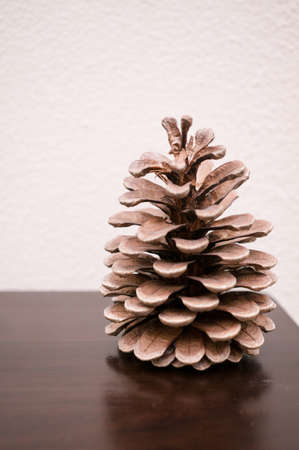 Pine Cone on Brown Table with Cream Backgroundの写真素材