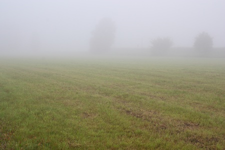 foggy grassland next to the Steinberger See in Bavariaの写真素材