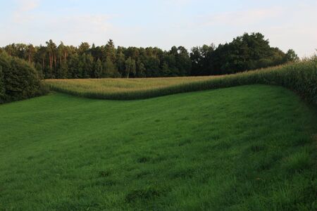 Big grassland near to schwandorf in bavariaの写真素材
