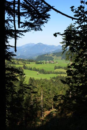 mountains near to the walchsee in Austriaの写真素材