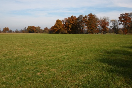beautiful grassland near Schwandorf in fallの写真素材