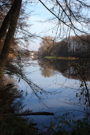 a beautiful river with big trees in fallの写真素材