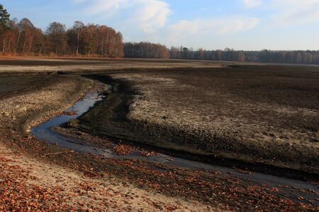 beautiful landscape near to schwandorf in fallの写真素材