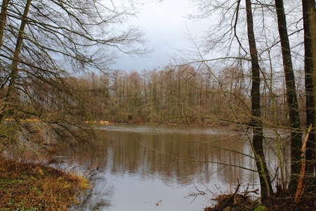 the river naab near to schwandorf in springの写真素材