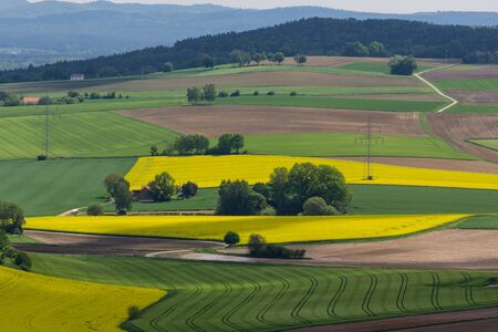 spring landscape with canola fields next to Schwandorf in Bavaria