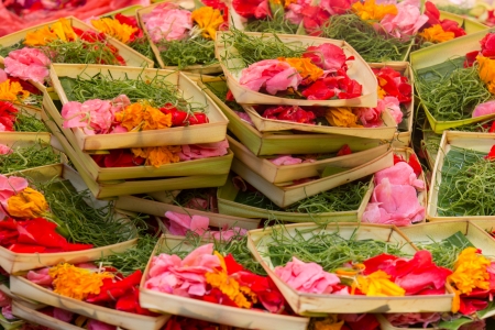Traditional balinese offerings to gods in Bali with flowers and aromatic sticks の写真素材