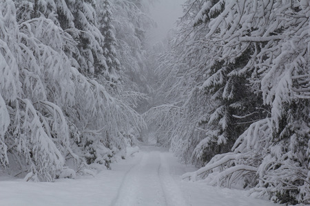 nice winter landscape in austriaの写真素材