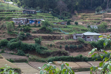agriculture in the mountains of sri lanka