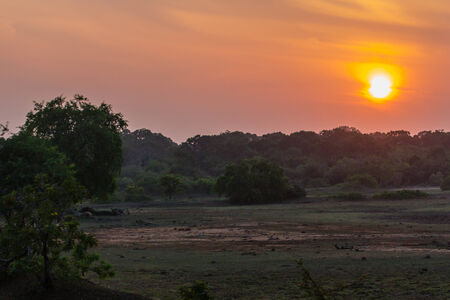 Beautiful sunset in the Yala Nationalpark in Sri Lankaの写真素材