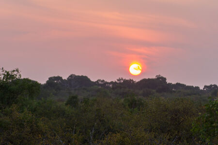 Beautiful sunset in the Yala Nationalpark in Sri Lankaの写真素材
