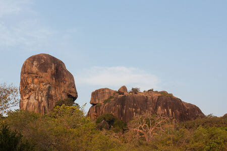Safari in the Yala Nationalpark in Sri Lankaの写真素材