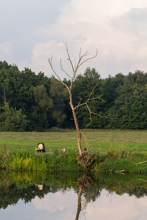 fishing at the rover Naab next to Schwandorf in Bavariaの写真素材