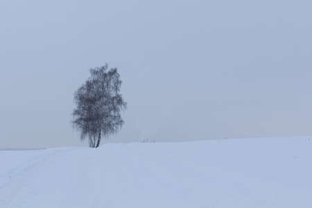 beautiful winter landscape next to schwandorf in bavariaの写真素材