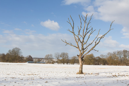 winter landscape next to Schwandorf in Bavariaの写真素材