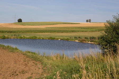 a little pond next to Schwandorf in Bavaria in summerの写真素材