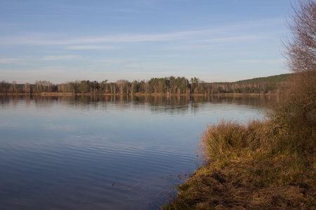 Picture of a lake and trees with colorful leaves on an evening in autumn in Bavaria, Murner See