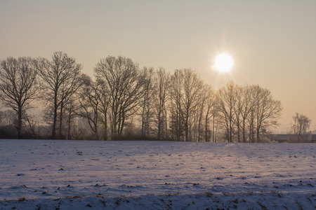 beautiful winter sunset with birds and trees next to Schwandorf in Bavariaの写真素材