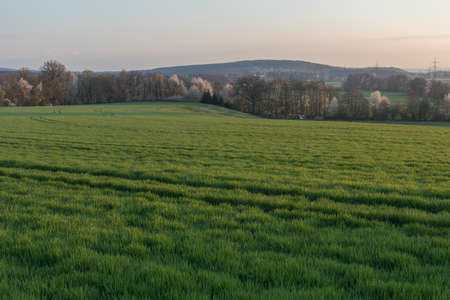 summer landscape in next to schwandorf in bavariaの写真素材