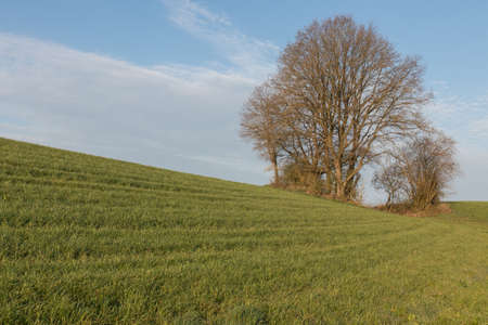 summer landscape in next to schwandorf in bavariaの写真素材