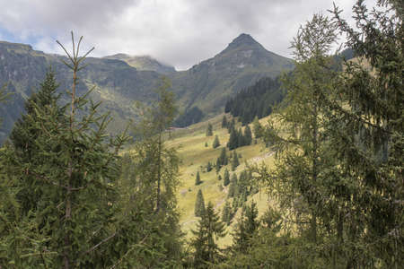 Walkway inbetween the trees at the Talschluss in Saalbach Hinterglemm, the end of the valley, bridge over valleyの写真素材