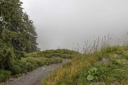 hiking in the mountains around saalbach hinterglemm in austriaの写真素材