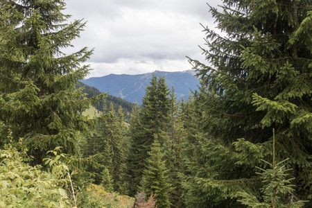 hiking in the mountains around saalbach hinterglemm in austriaの写真素材