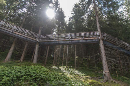 Walkway inbetween the trees at the Talschluss in Saalbach Hinterglemm, the end of the valley, bridge over valleyの写真素材