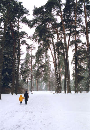 Mother and her child walking in the park in winterの写真素材