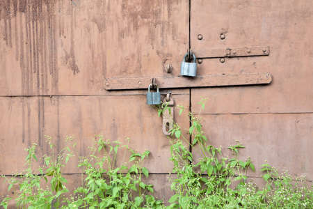 Locked abandoned garage doors overgrown with weedsの写真素材