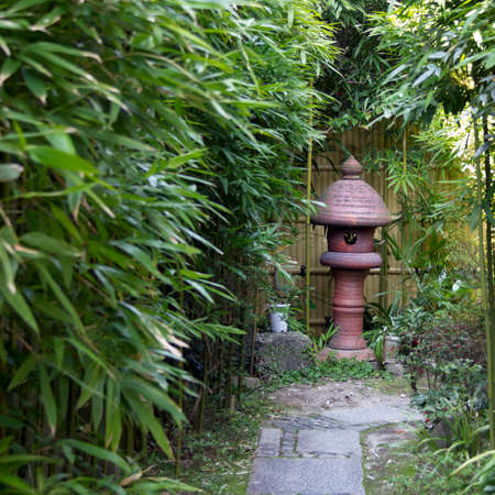 Japanese stone lantern surrounded by young bamboo tressの写真素材