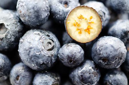 Fresh blueberries with water drops ready to be eaten.の写真素材