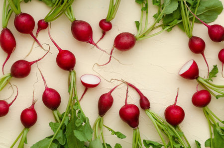 Radishes with leaves on light yellow backdrop.の写真素材