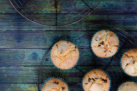 Vanilla and chocolate muffins on a round rack and a light blue wooden backdrop.の写真素材