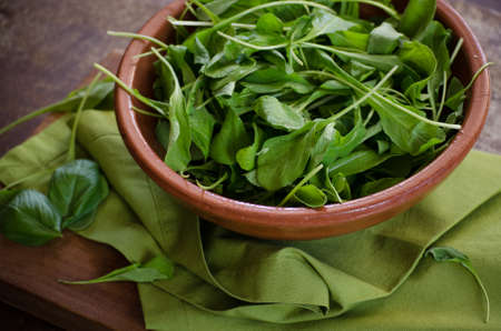 Arugula salad in a clay bowl on a green napkin.の写真素材