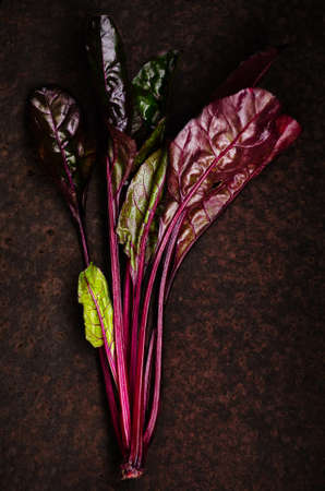 Red stem chard on a dark backdrop.の写真素材