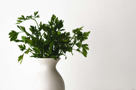 Bouquet of parsley in a gray vase.の写真素材