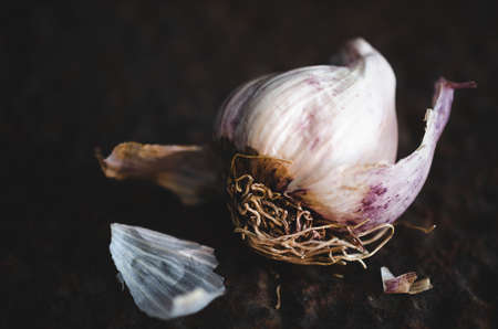 Bulb of garlic on a dark backdrop.の写真素材