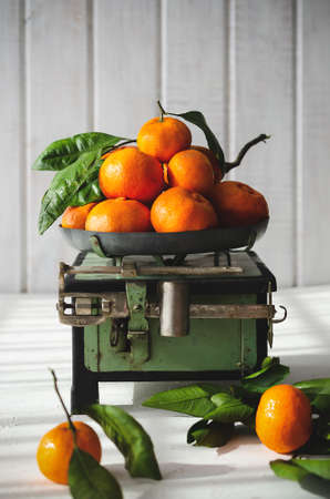 Tangerines with leaves on an old green scale and white background.の写真素材