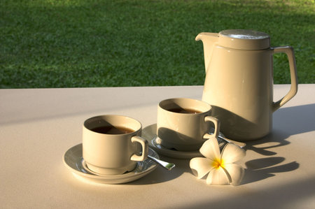Tea For Two - A pot of tea and cups with a frangipani flower laid out for two in an outdoor garden settingの写真素材
