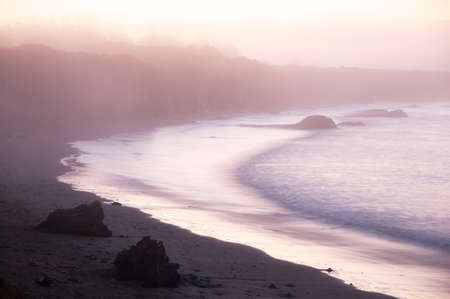 California Mistの写真素材