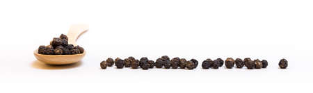 Organic Black pepper Piper nigrumの写真素材