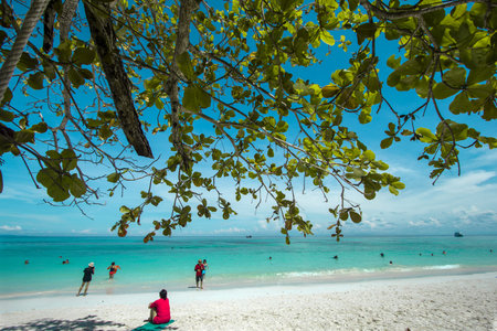 Tropical beach
