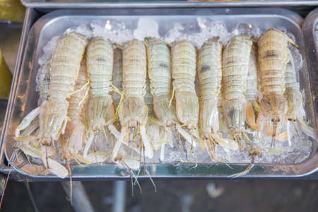 Mantis shrimp with ice in fresh market in Thailandの写真素材