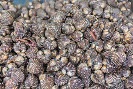 A background of fresh cockles for sale at a marketの写真素材